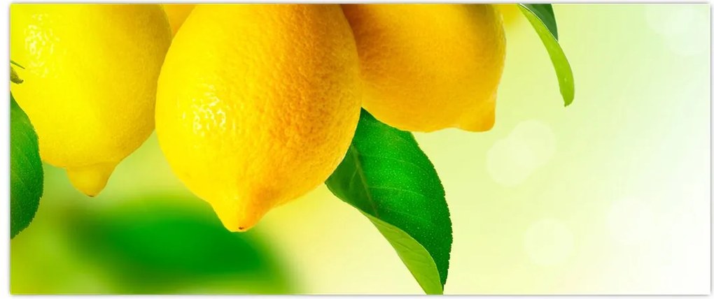 Tablou cu lămâi (120x50 cm)