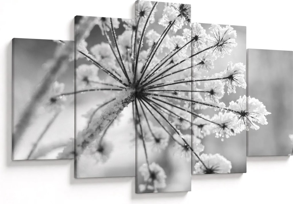 Tablou - Floare în timpul iernii (150x105 cm)
