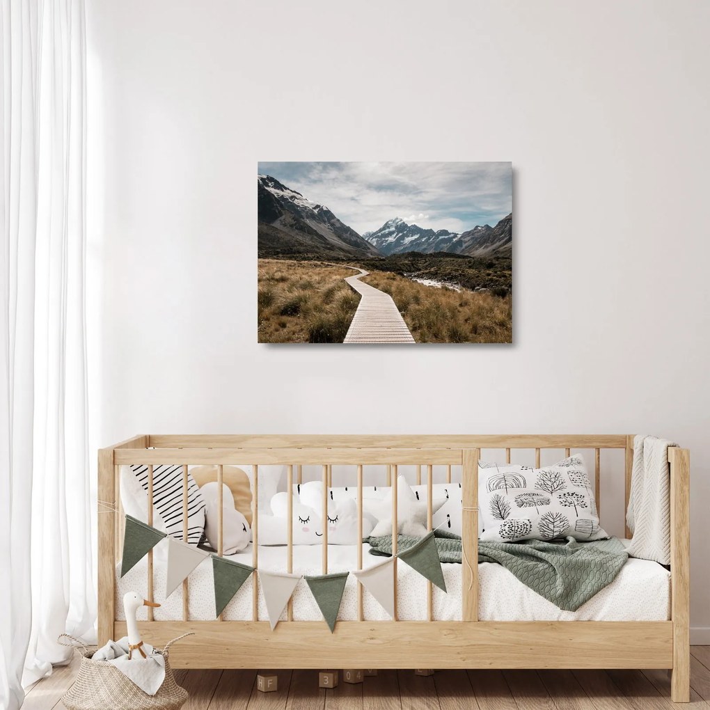 Tablou pe sticlă - Poteca în valea muntelui Mt. Cook (70x50 cm)