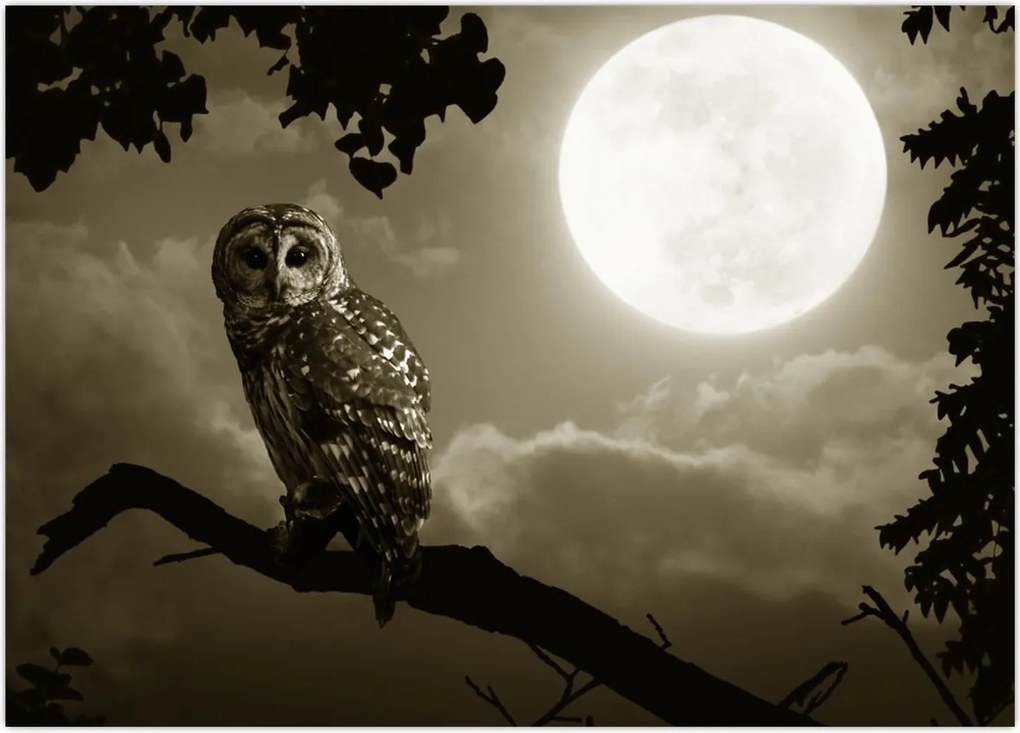 Tablou - Bufniță de noapte, auriu (70x50 cm)