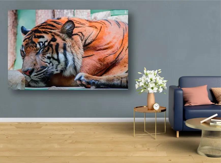 Tablouri Canvas Animale - Tigru adormit