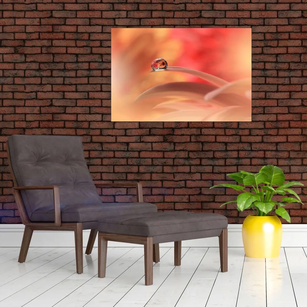 Tablou picăturii de rouă pe floare (90x60 cm)