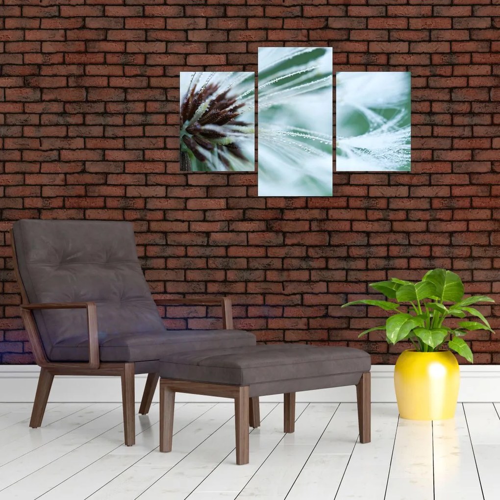 Tablou - Detaliu floare (90x60 cm)