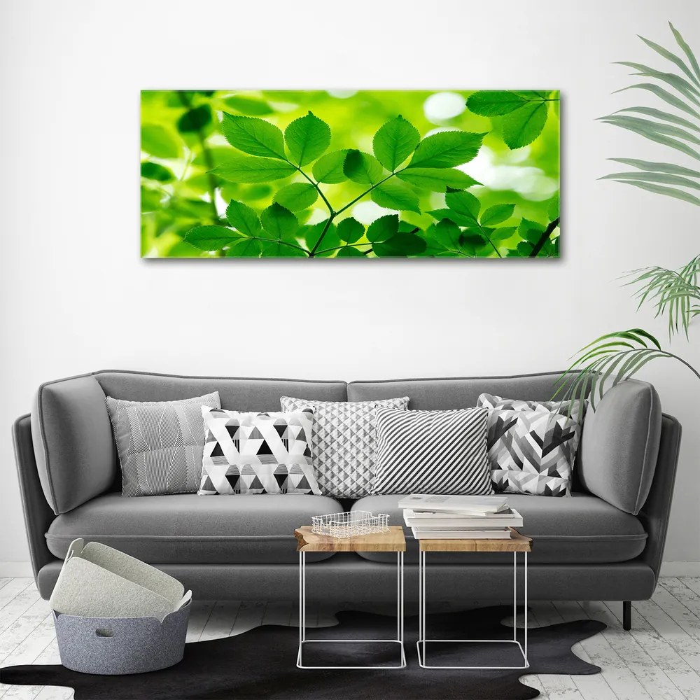 Tablou canvas Frunze verzi