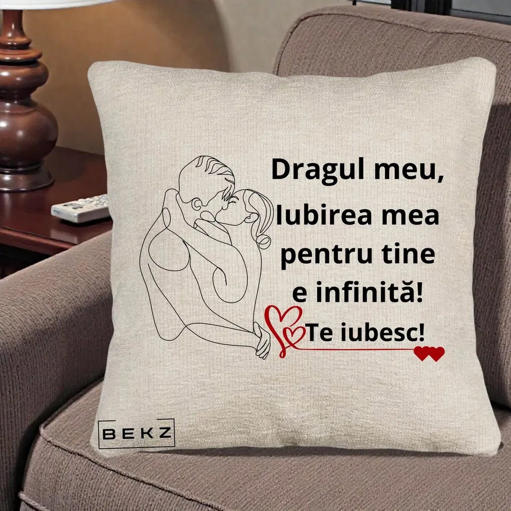 Cadou pentru Iubit - Perna Personalizata Dragul Meu Iubirea Mea pentru Tine e Infinita Te Iubesc, 40x40 cm, Bej Canapea, Husa Detasabila, Perna Inclusa, BEKZ®