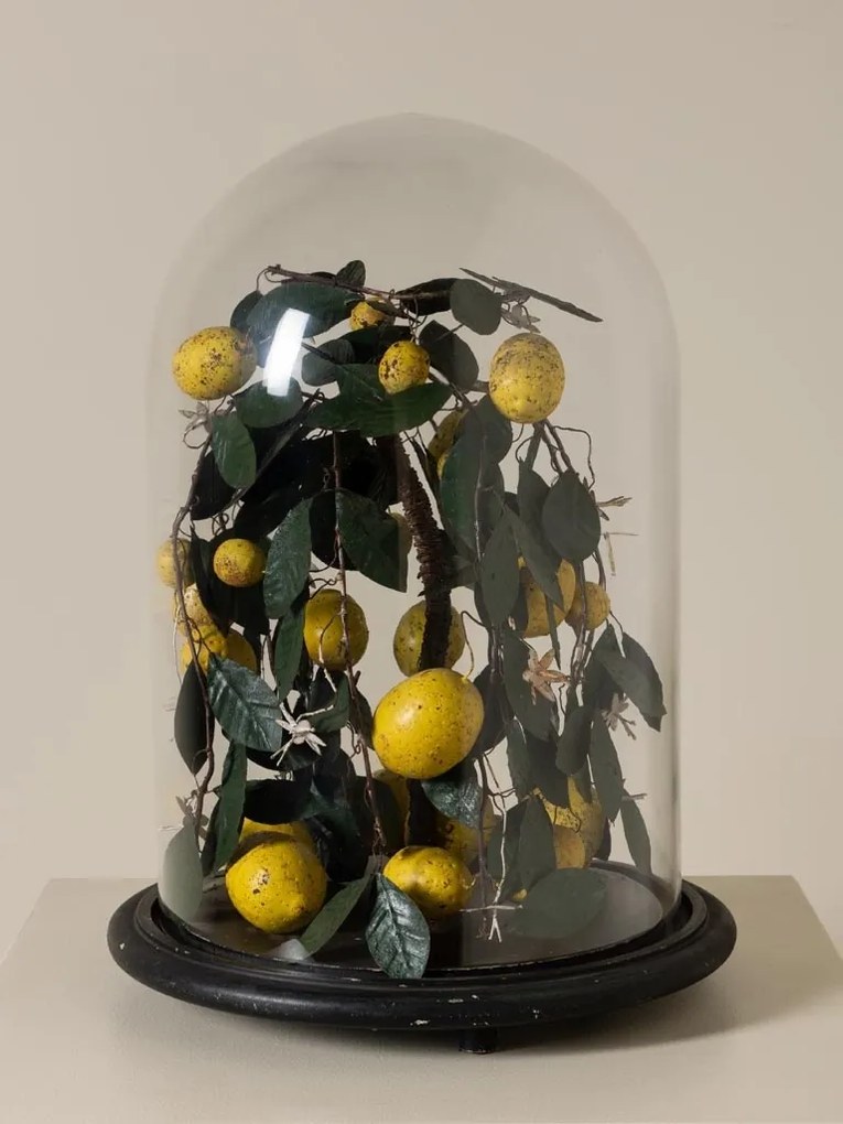 Clopot de sticlă cu lămâi artizanal, „Lemon Precious”