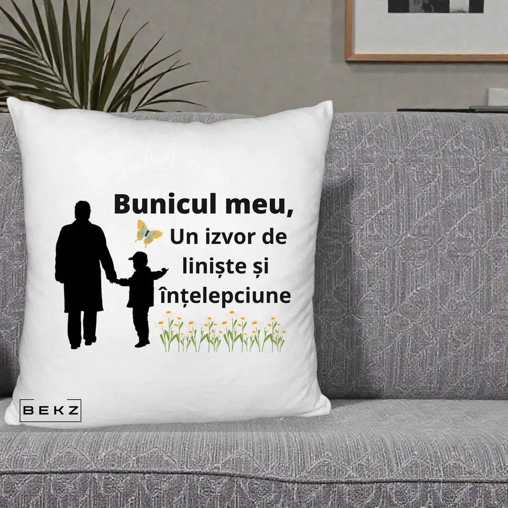 Cadou pentru Bunic - Perna Personalizata Bunicul Meu Izvor de Liniste cu Fluture si Baietel, 40x40 cm, Alb Pufos, Husa Detasabila, Perna Inclusa, BEKZ®