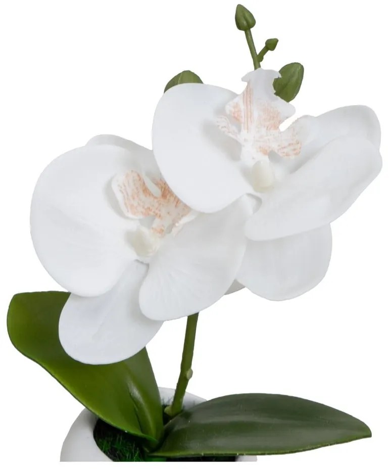 Plante artificiale 3 buc. (înălțime 15 cm) Orchid – Casa Selección