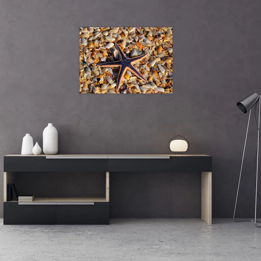 Tablou cu stea de mare (70x50 cm)