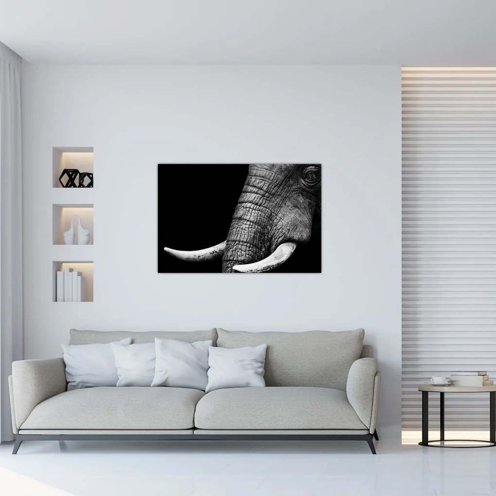 Tablou - Colți de elefant (90x60 cm)