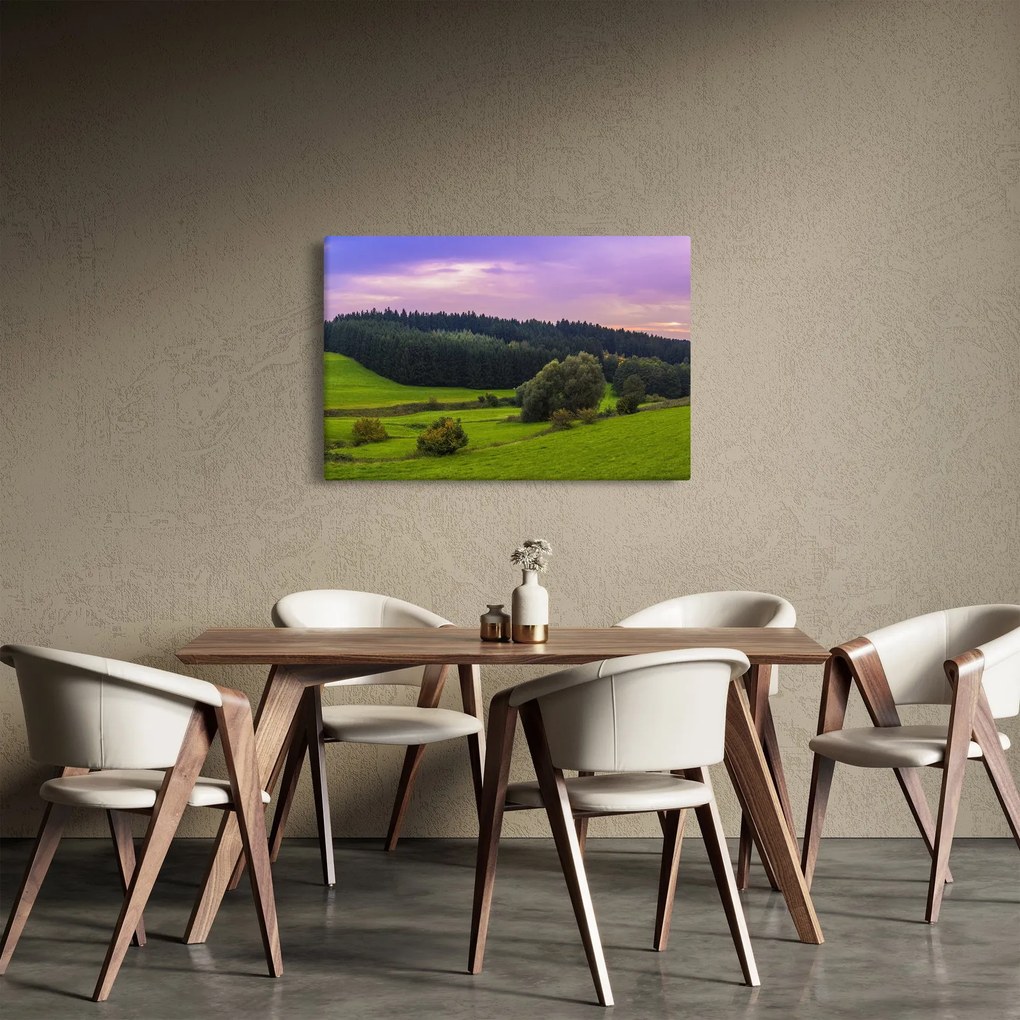 Tablou cu lunca (90x60 cm)