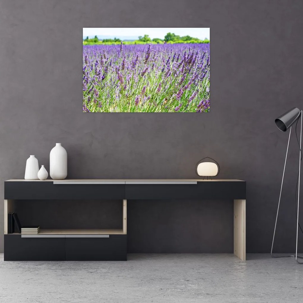Tablou - Lavandă în câmp (90x60 cm)