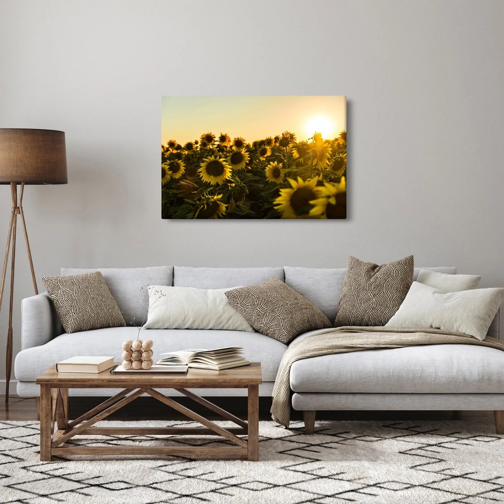Tablou cu lan de floarea soarelui (90x60 cm)
