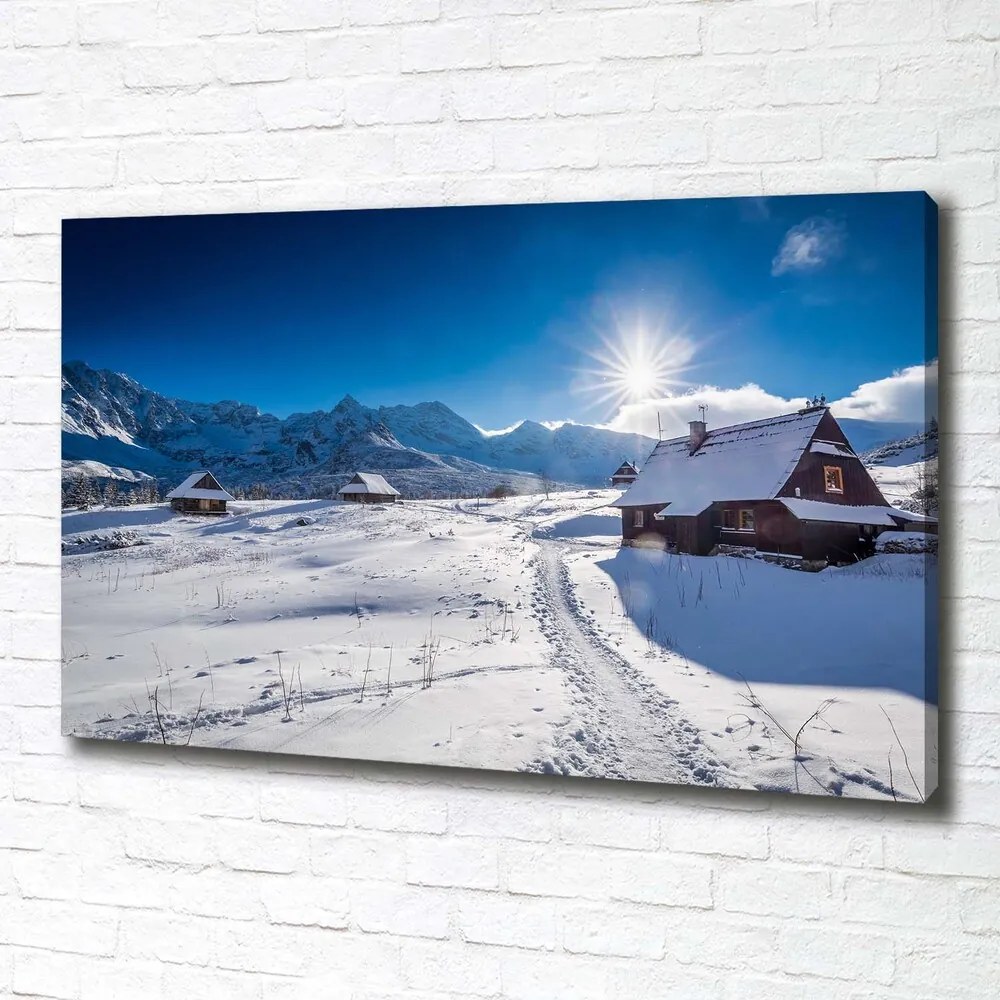 Tablou pe pânză Hale tatry