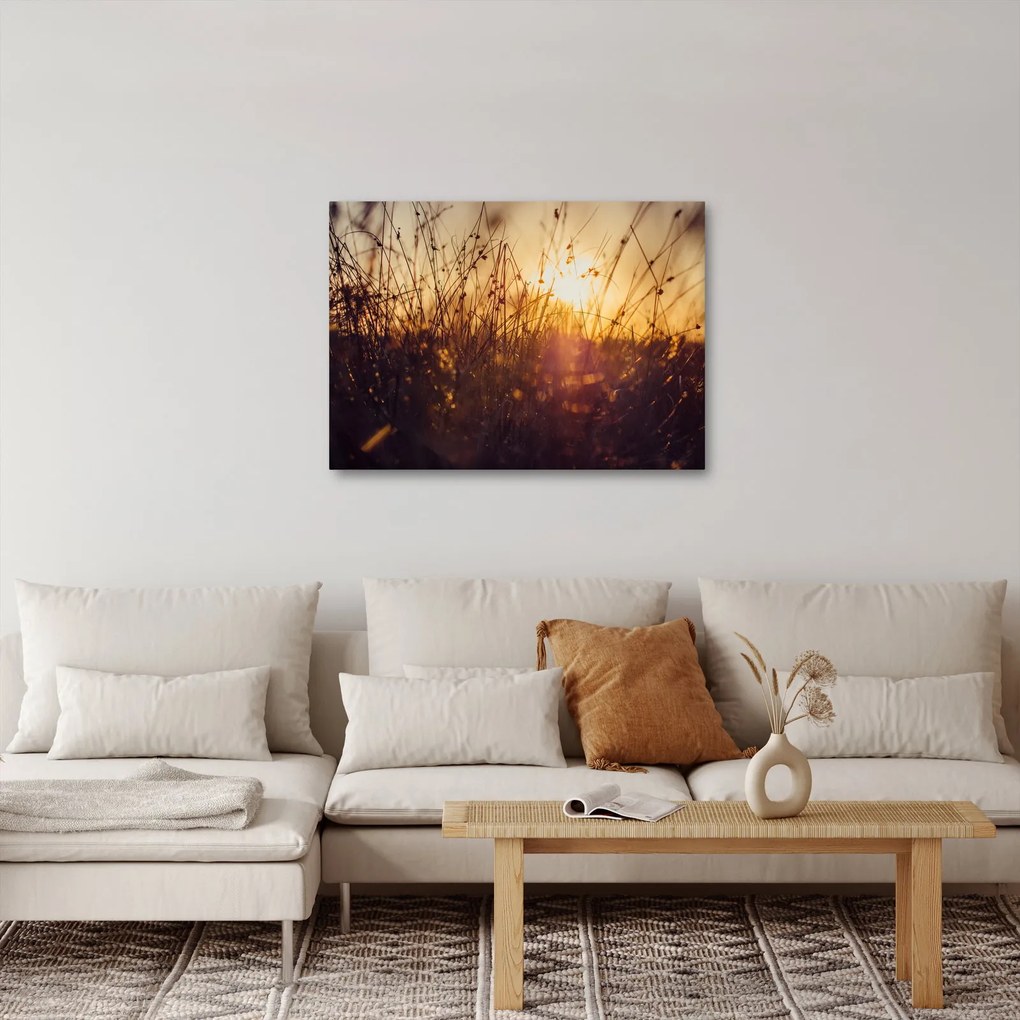Tablou - Câmp la apus de soare (70x50 cm)