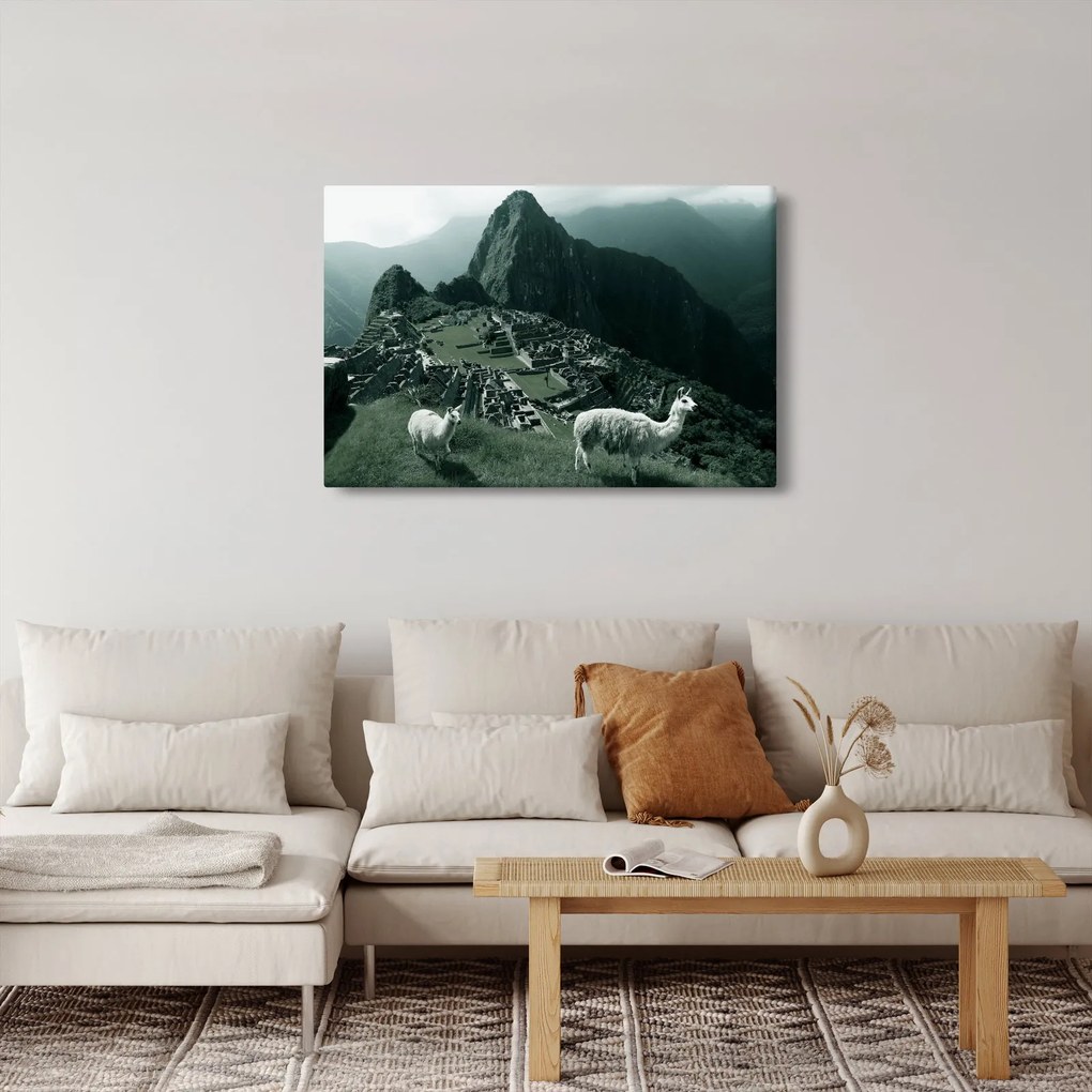 Tablou - Lamas la Machu Picchu în Peru (90x60 cm)