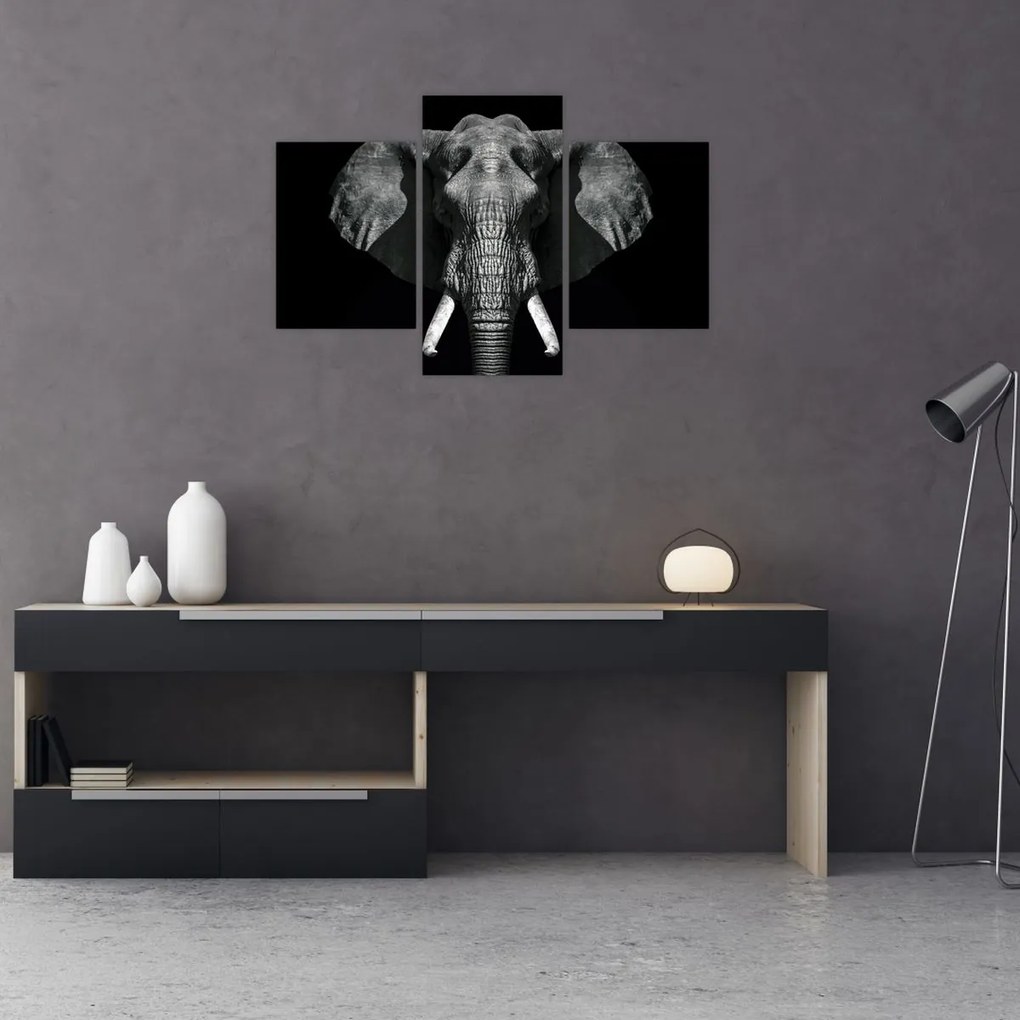 Tablou - Elefant pe fundal negru (90x60 cm)