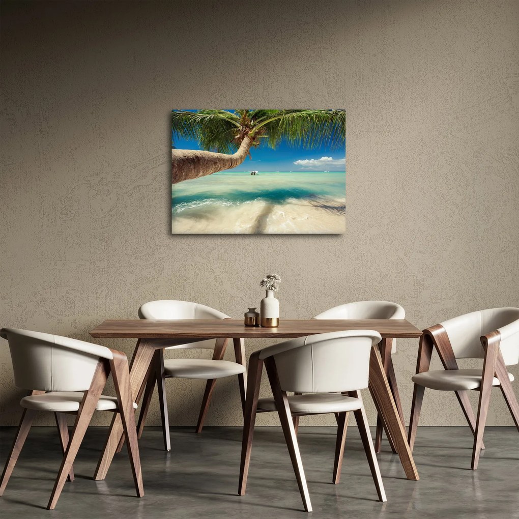 Tablou - Mare curată cu palmier (70x50 cm)