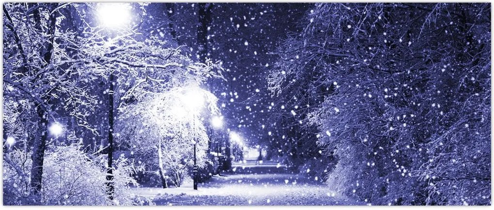 Tablou - Noaptea magică de iarnă (120x50 cm)