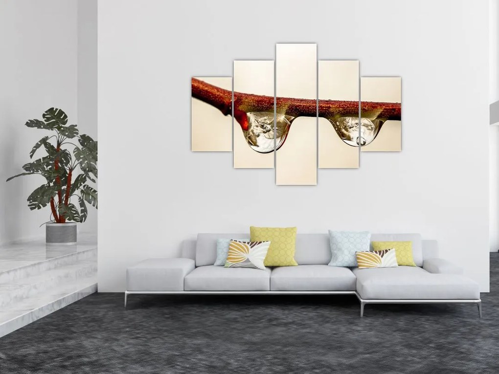 Tablou cu picături de apă pe creangă (150x105 cm)