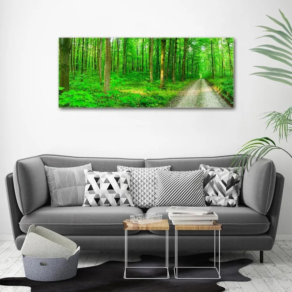 Imprimare tablou canvas Copaci în pădure
