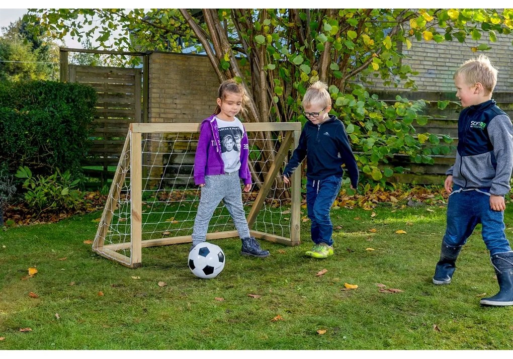 My Hood 302100 poartă de fotbal Homegoal ClassicMicro, 125 x 100 x 60 cm