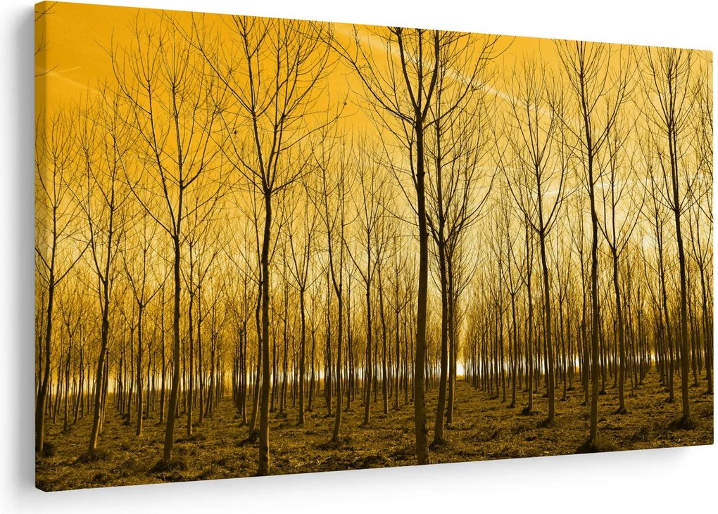 Tablou cu pădure în apus de soare (90x60 cm)