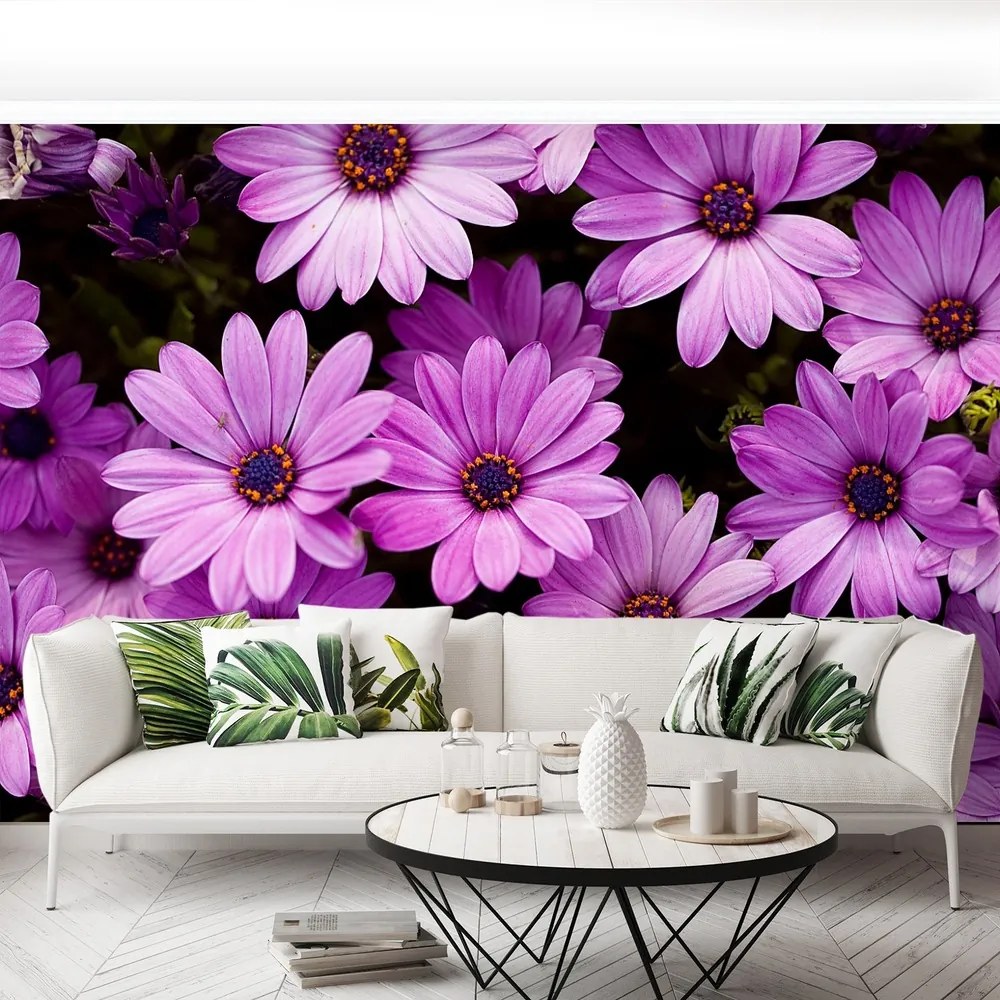 Fototapet Violet Flori
