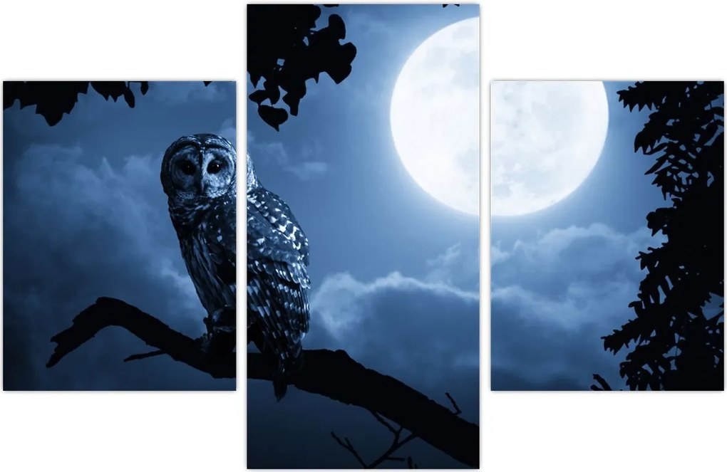 Tablou - Bufnița de noapte (90x60 cm)