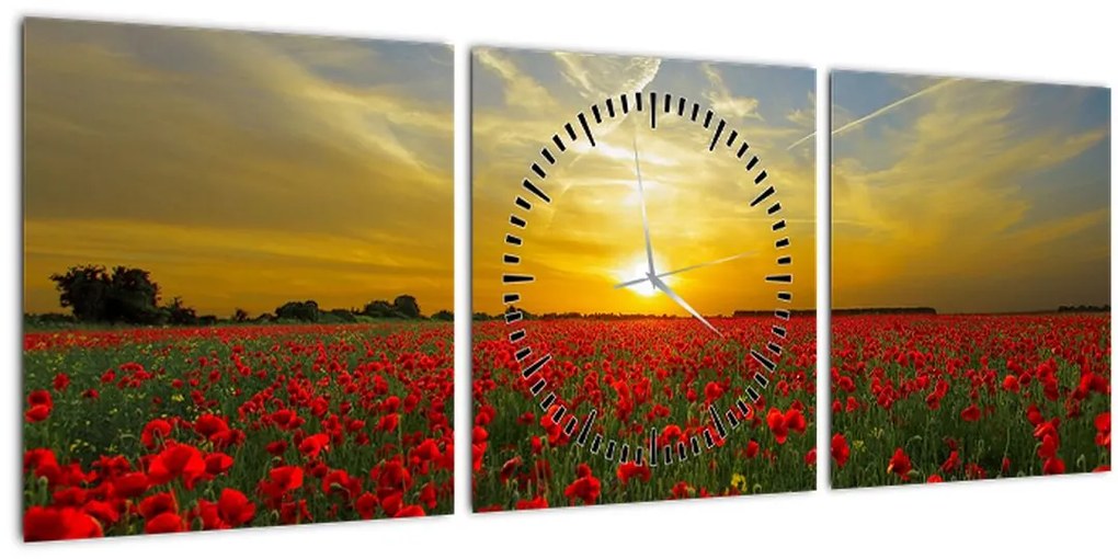 Tablou cu câmp cu maci (cu ceas) (90x30 cm)