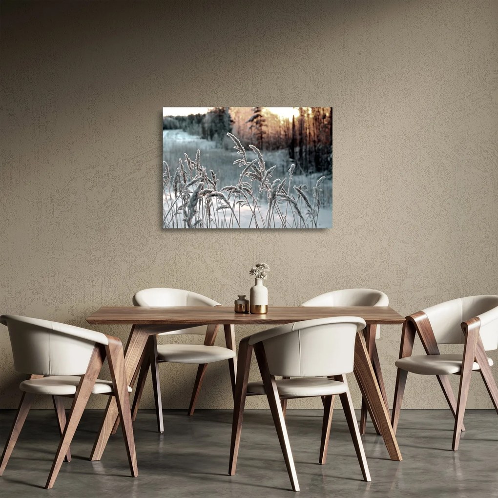 Tablou pe sticlă - Pajiște înghețată (70x50 cm)
