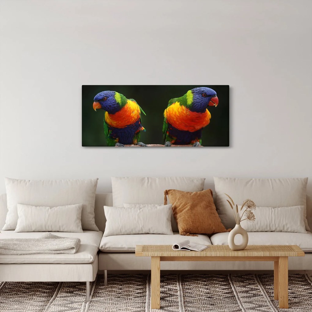 Tablou cu papagali (120x50 cm)