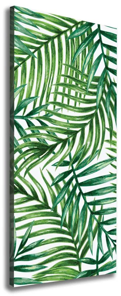 Print pe canvas Frunze de palmier