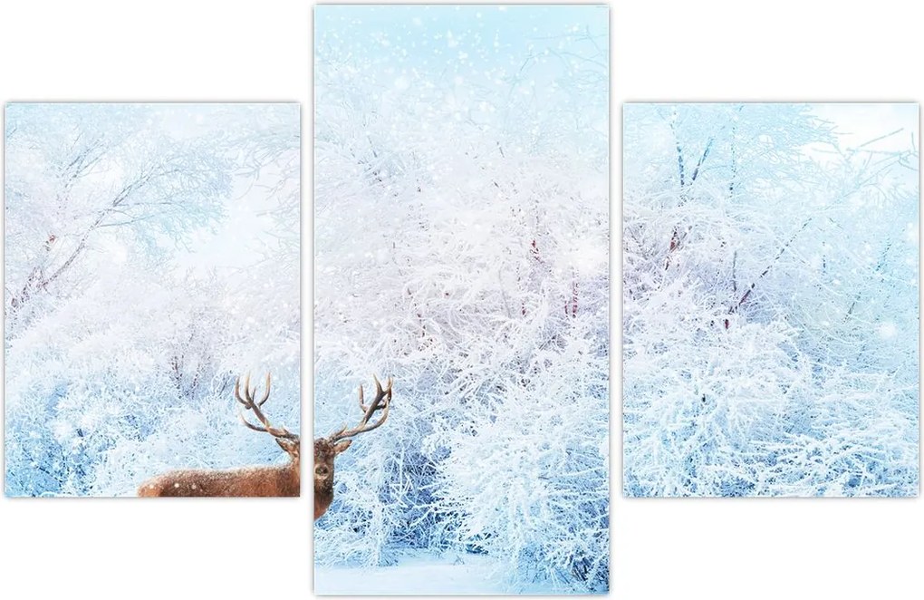 Tablou - Cerb maiestuos (90x60 cm)