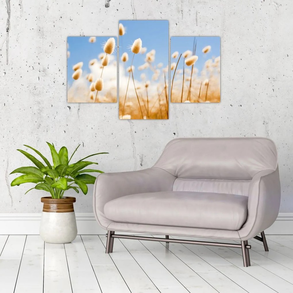 Tablou - Câmp de aur (90x60 cm)