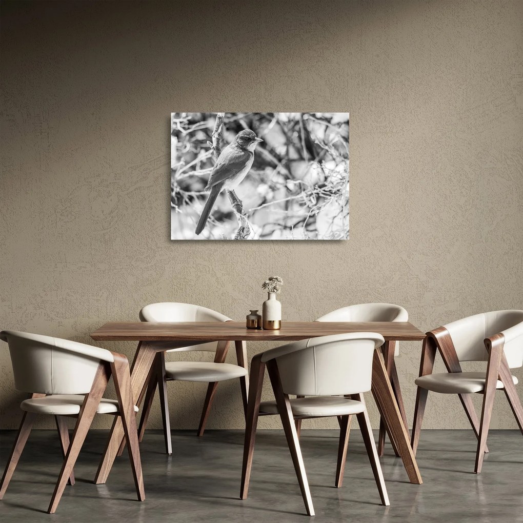 Tablou pe sticlă - Bluebird în timpul iernii (70x50 cm)