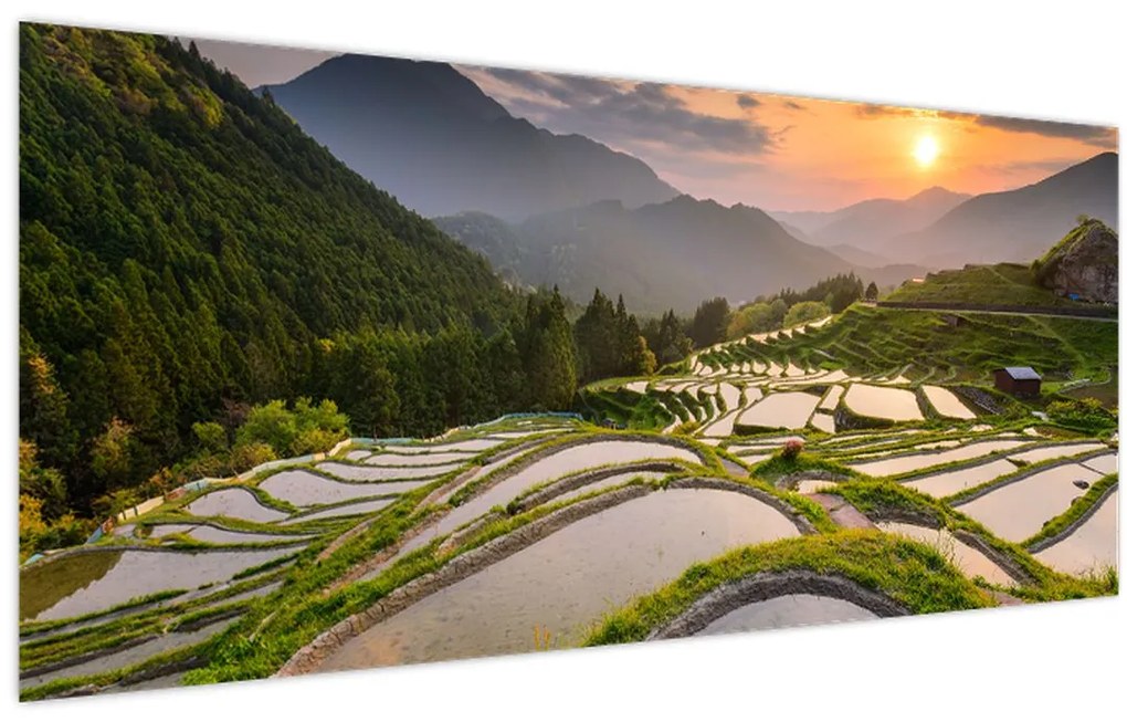 Tablou - Terase de orez (120x50 cm)