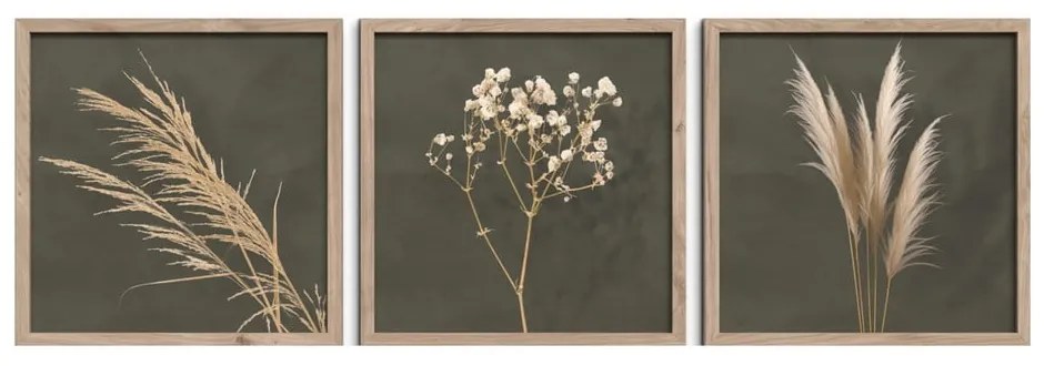 Tablouri 3 buc. 30x30 cm Pampas – Styler