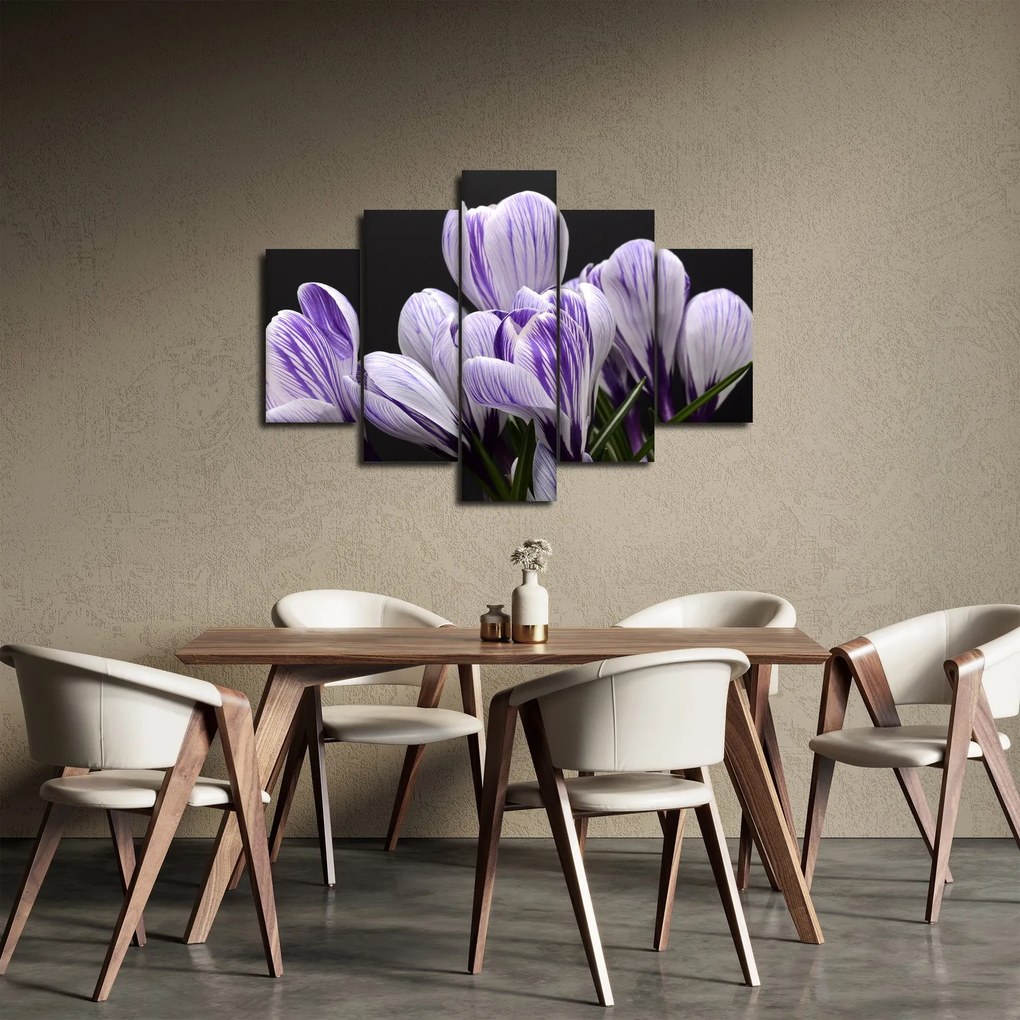 Tablou - Crocus violet (150x105 cm)