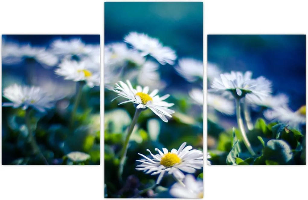 Tablou - Margarete (90x60 cm)