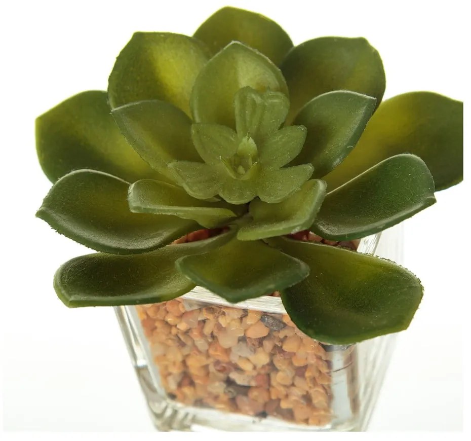 Set 6 decorațiuni artificiale Casa Selección, bej verde
