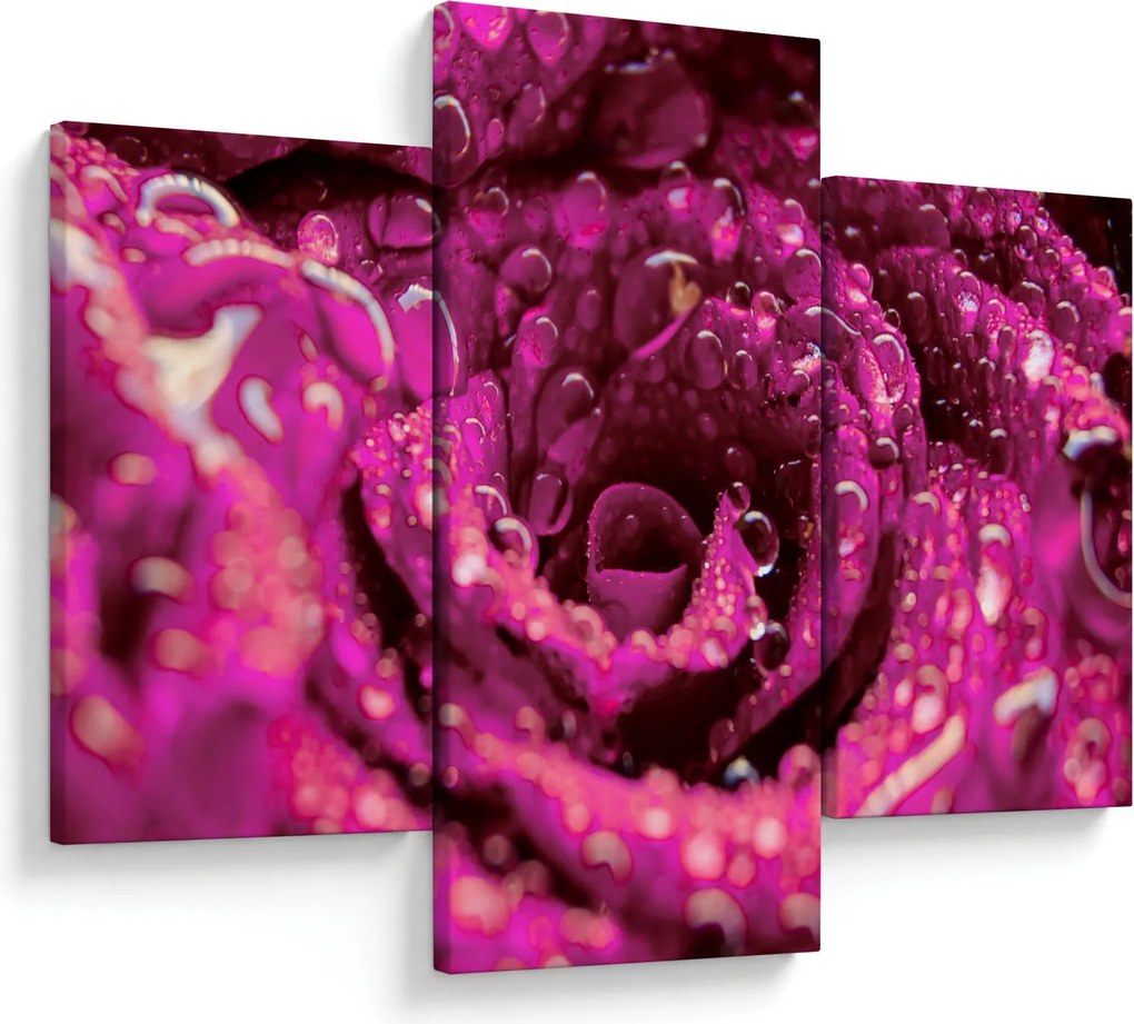 Tabloul cu floarea trandafirului roz (90x60 cm)
