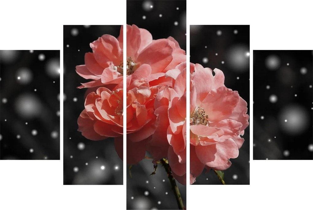 Tabloucu floare roz (150x105 cm)
