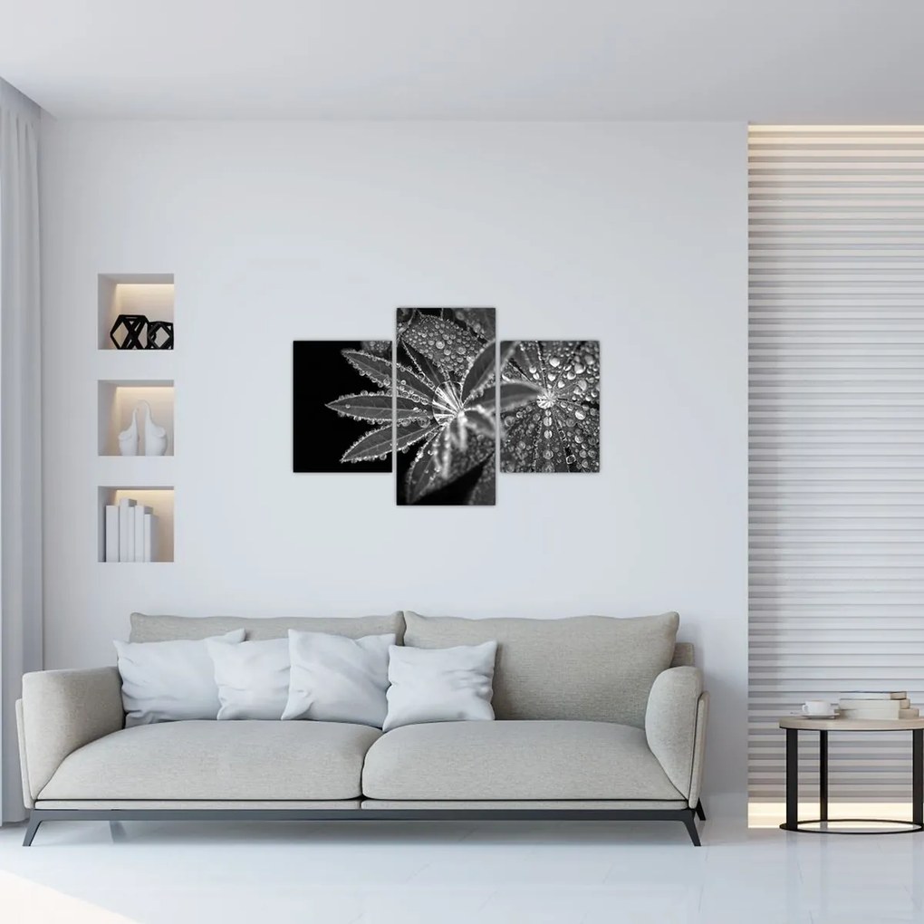 Tablou - Frunze cu picături (90x60 cm)