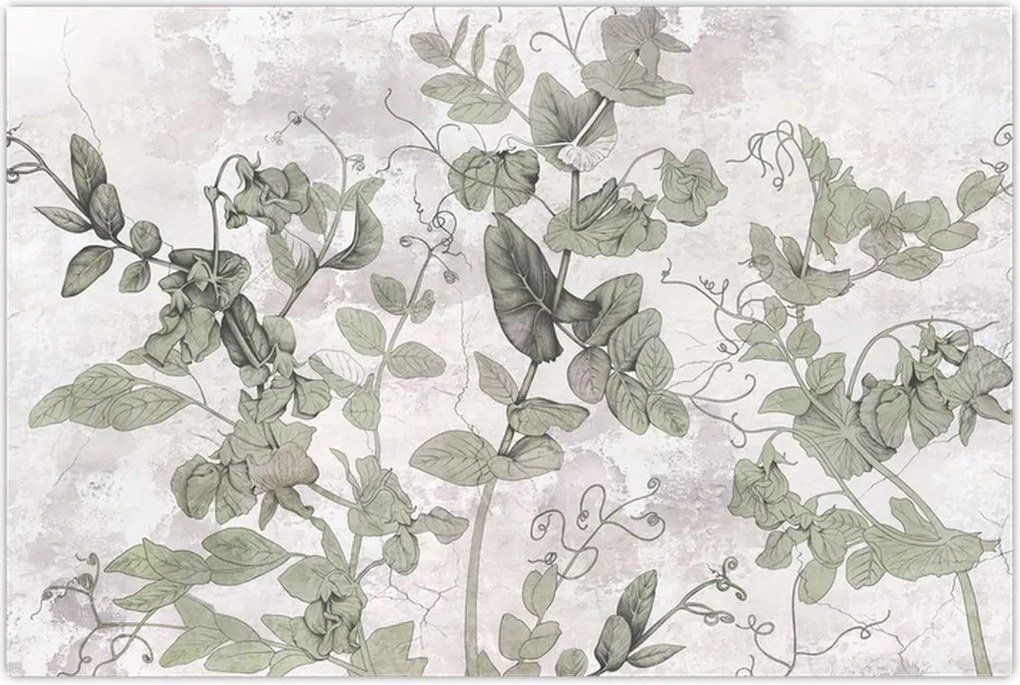 Tablou - Plante in ipsos (90x60 cm)