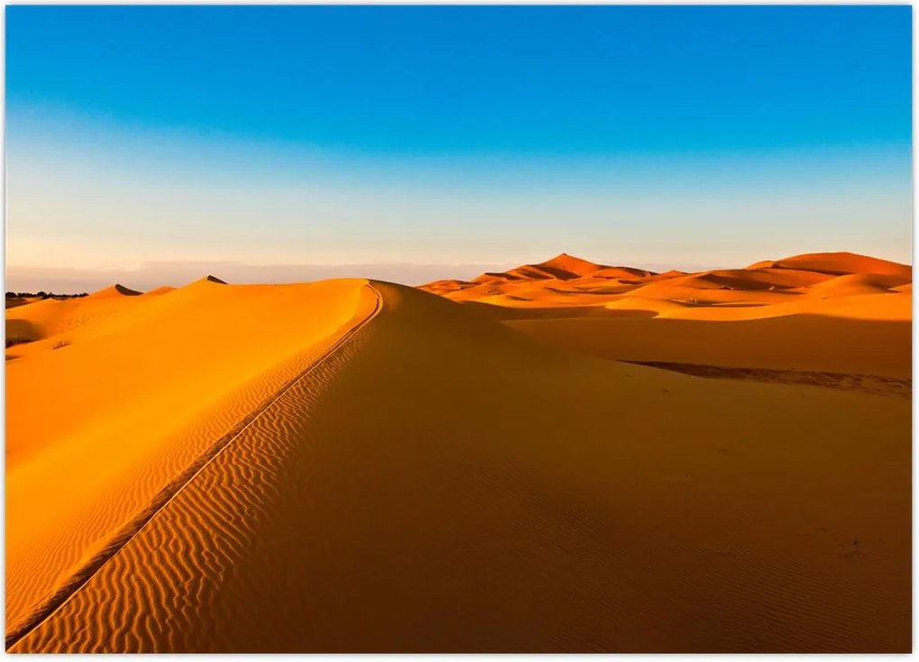 Tablou deșertului (70x50 cm)