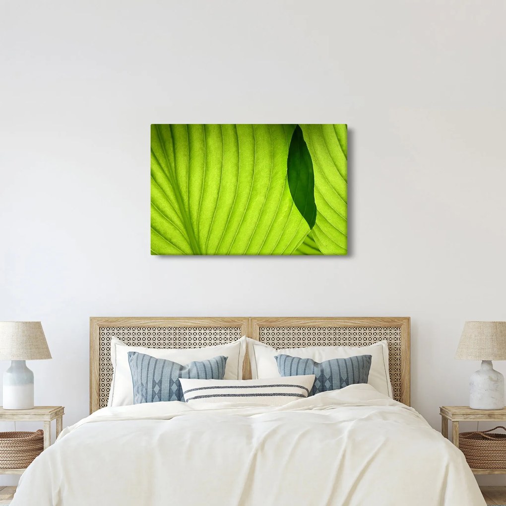 Tablou - Detaliu de frunză verde (90x60 cm)