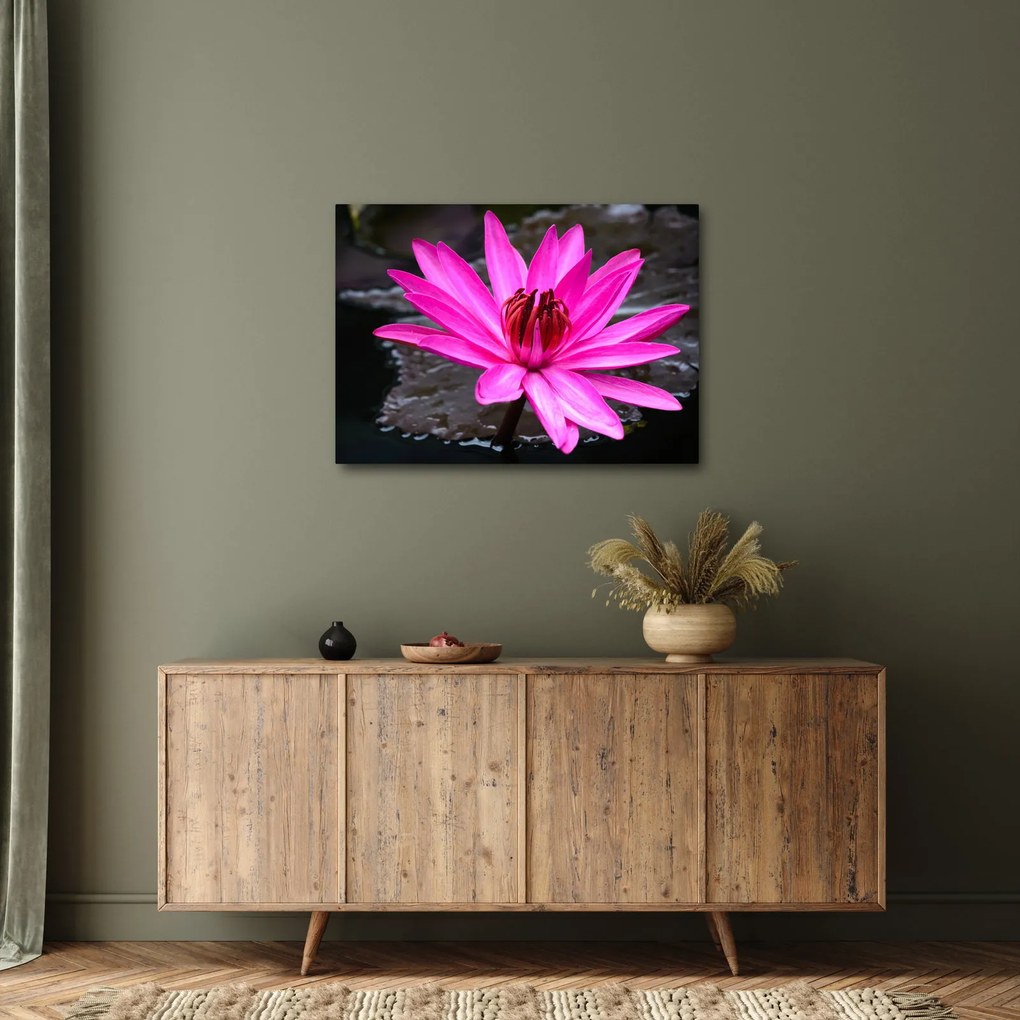 Tablou - floarea roz (70x50 cm)