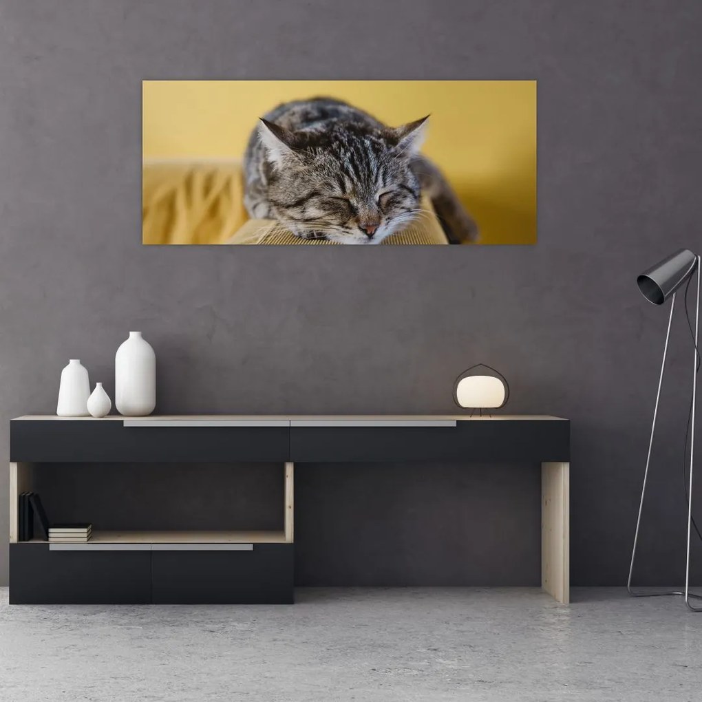 Tablou cu pisica pe fotoliu (120x50 cm)