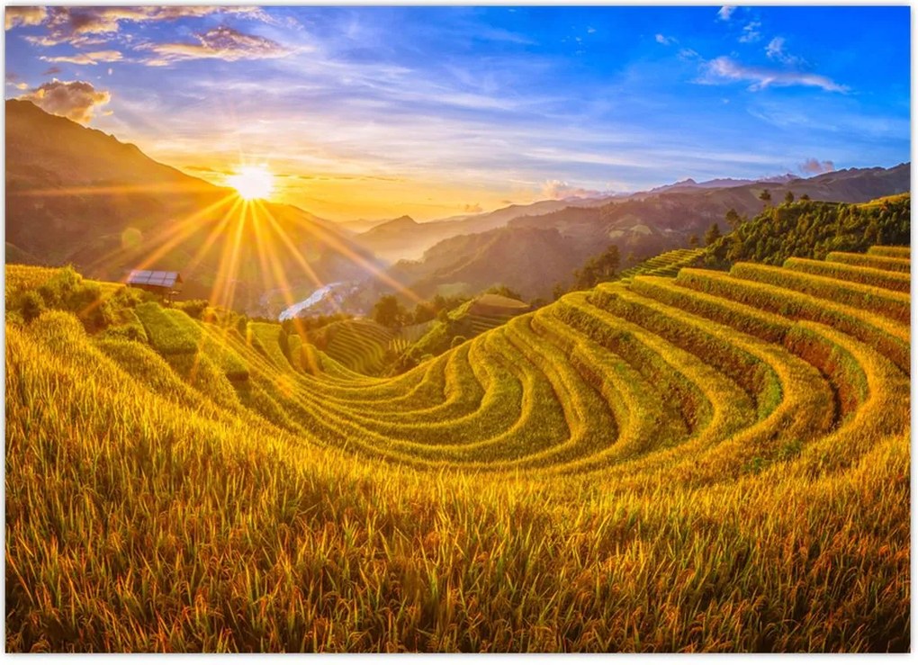 Tablou - Terasele de orez din Vietnam (70x50 cm)